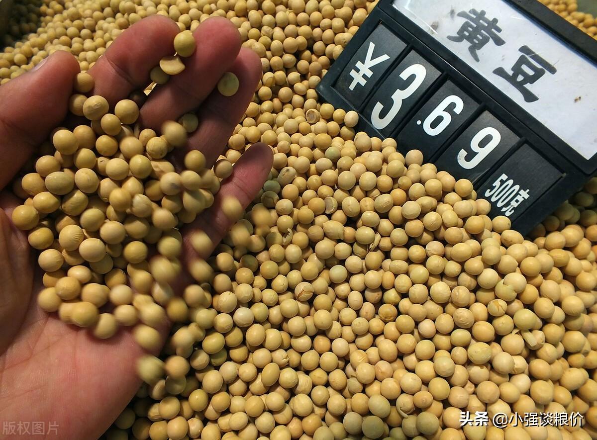 大豆最新行情价格走势,大豆最新行情价格走势分析