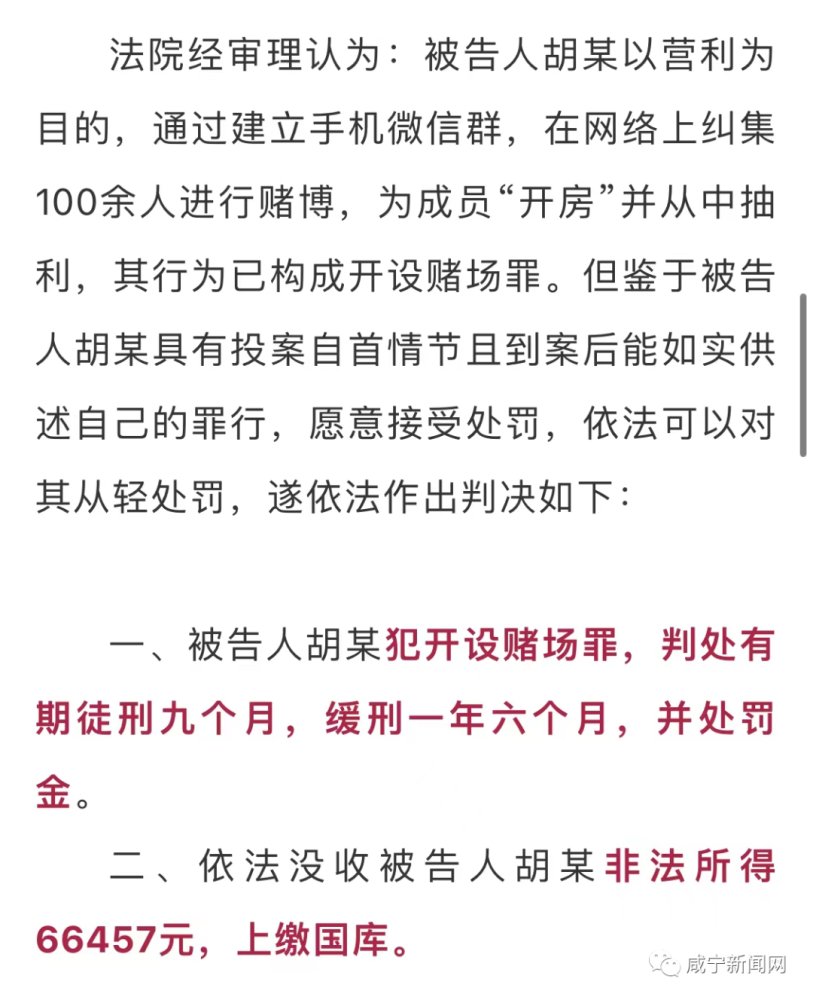 新澳门开奖记录新纪录,新澳门开奖记录新纪录，揭示违法犯罪问题的重要性