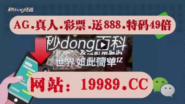 2024澳门天天开好彩免费大全,揭秘澳门天天开好彩背后的真相——警惕免费大全背后的风险与犯罪问题