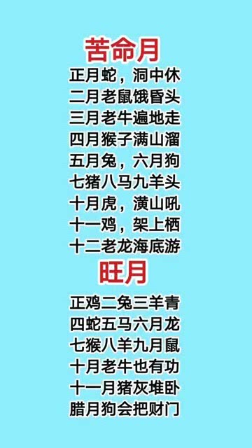 2024十二生肖49个码,十二生肖与2024年之49个码，探寻背后的神秘联系