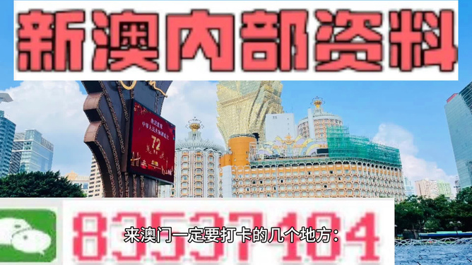 2024新澳门原料免费,探索新澳门原料免费之路，未来展望与机遇