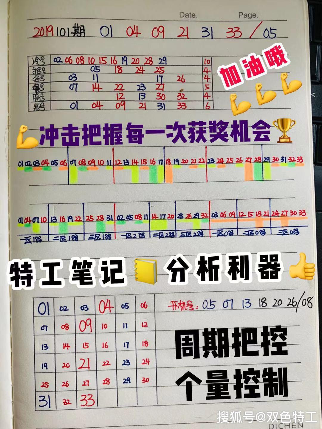 49特彩资料图,揭秘49特彩资料图，探索数字彩票的奥秘世界