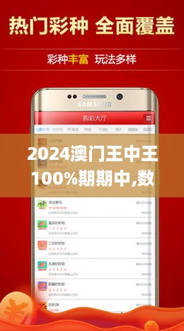 2024香港王中王,2024香港王中王，期待与荣耀的交汇点