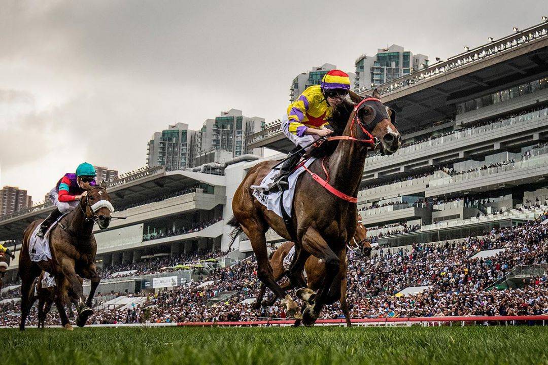 香港马买马网站www,香港马买马网站——探索赛马文化的独特魅力